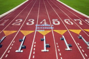 体育外交再谱新篇，中法青少年足球友谊赛深化双边合作